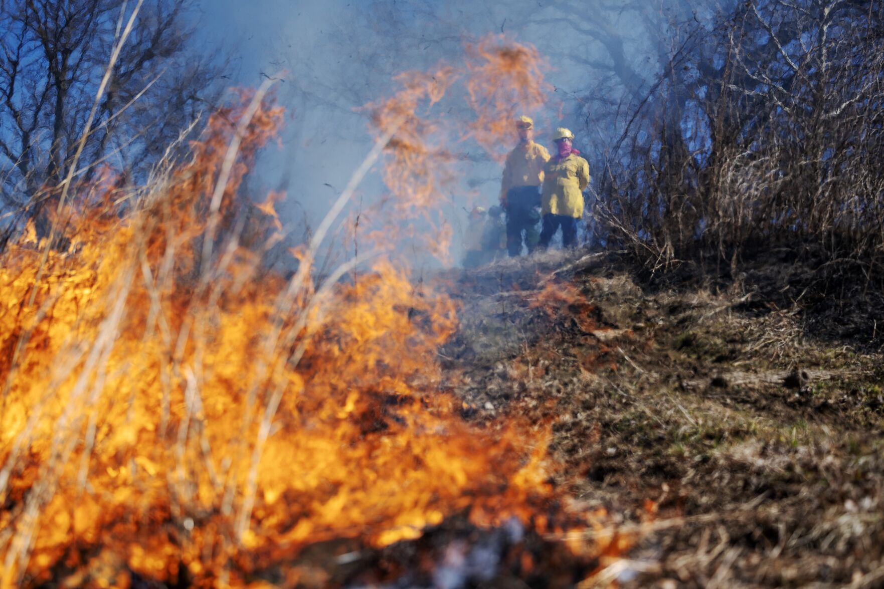 Wildlife and conservation groups conduct prescribed burn in Bellerive Park